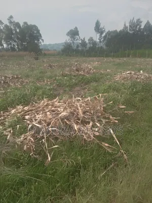1/4 an Acre Piece of Land in Malaha, Webuye