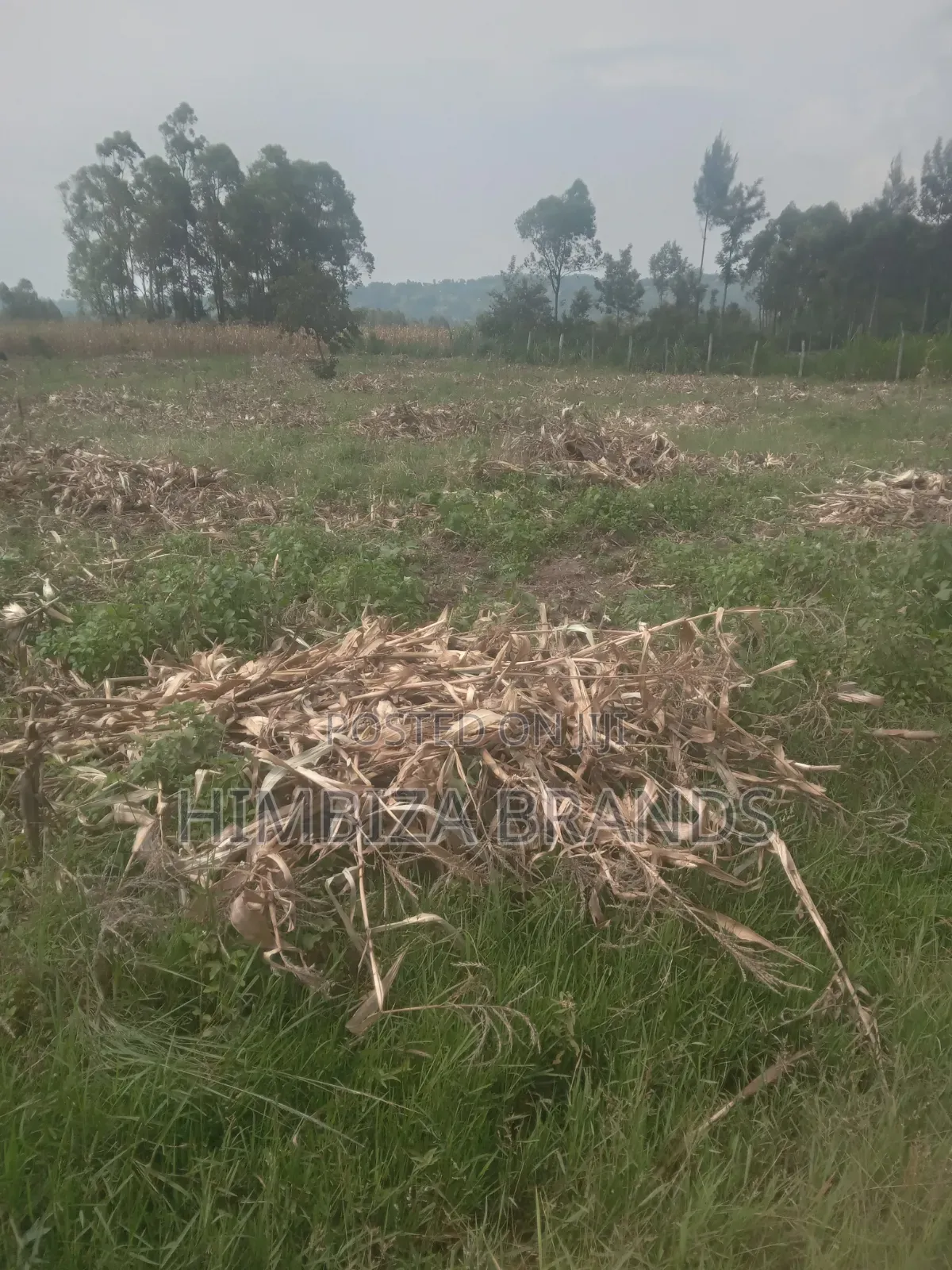 1/4 an Acre Piece of Land in Malaha, Webuye