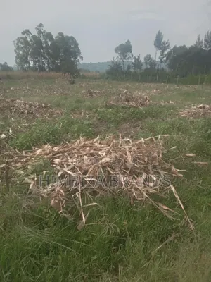 1/4 an Acre Piece of Land in Malaha, Webuye