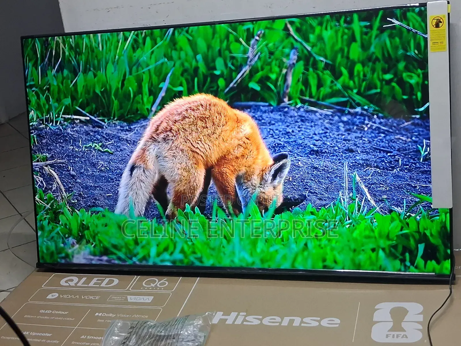 Hisense 55" QLED Q6 Series Smart TV – Stunning Entertainment
