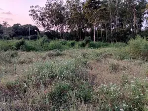 Plots for Sale