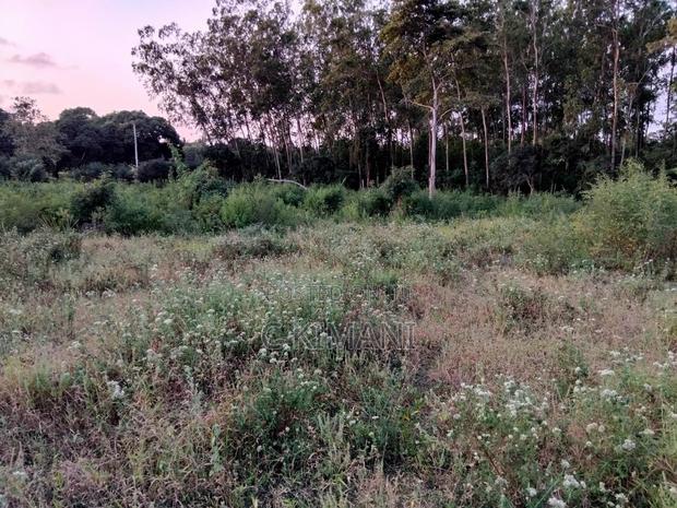 Plots for Sale