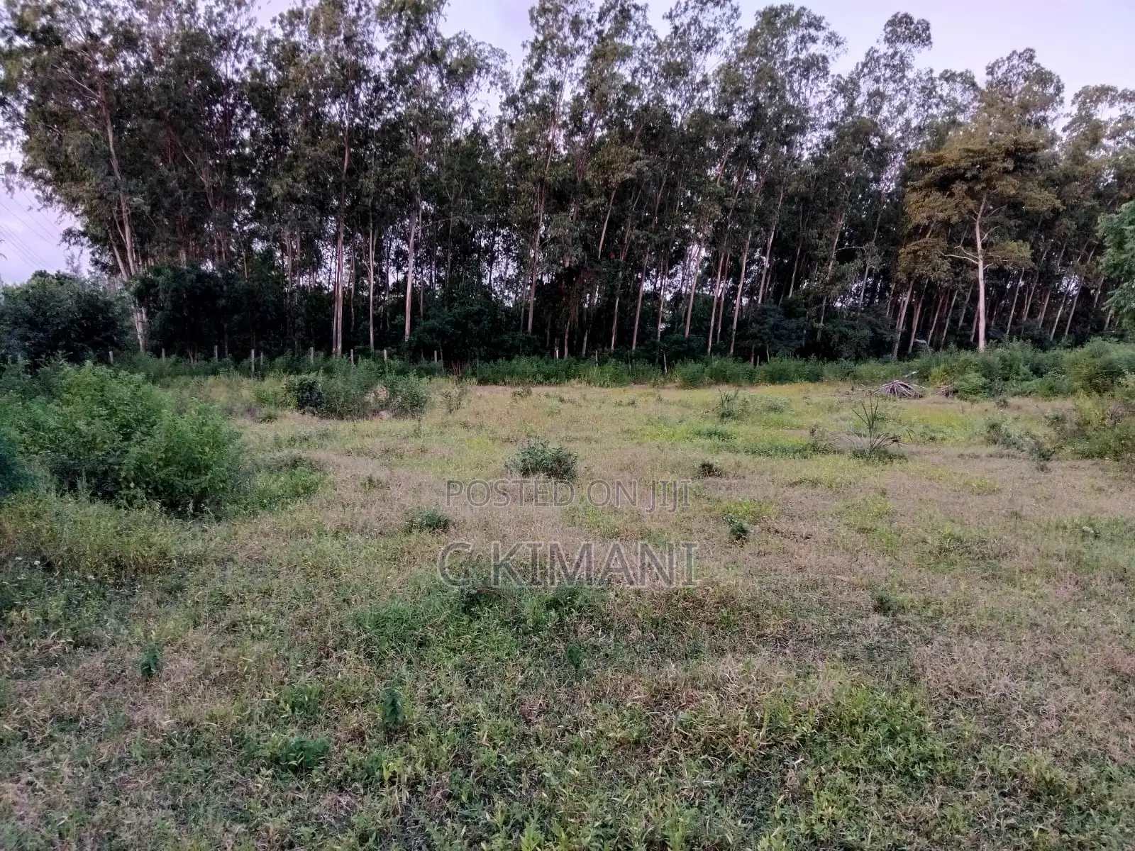 Plots for Sale