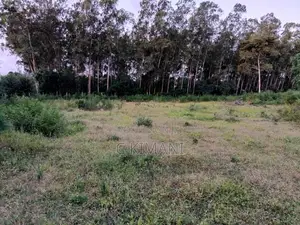 Plots for Sale