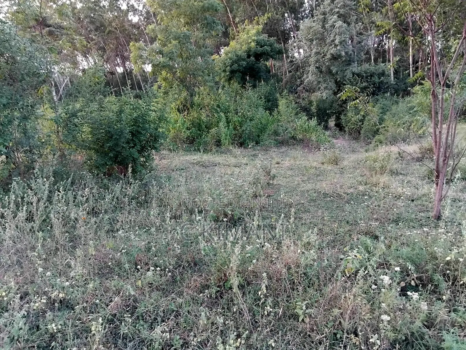 Plots for Sale