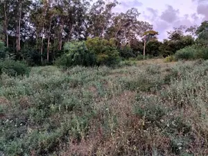 Plots for Sale