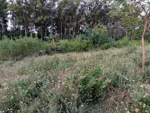 Plots for Sale