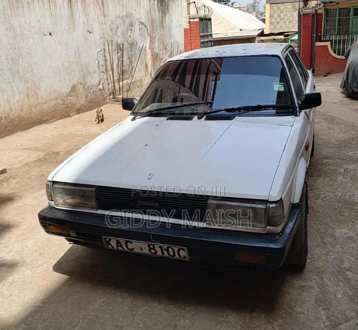 Nissan Sunny 2000 White