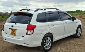 Toyota Corolla Fielder 2014 Pearl