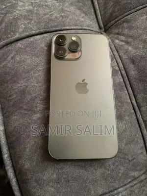 Apple iPhone 13 Pro Max 128 GB Gray