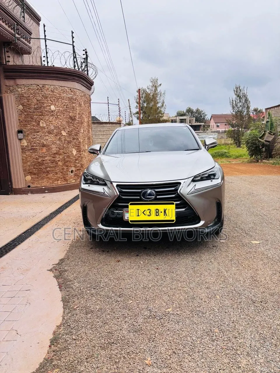 Lexus NX 2015 Silver