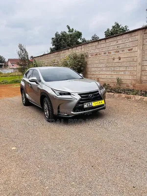 Lexus NX 2015 Silver