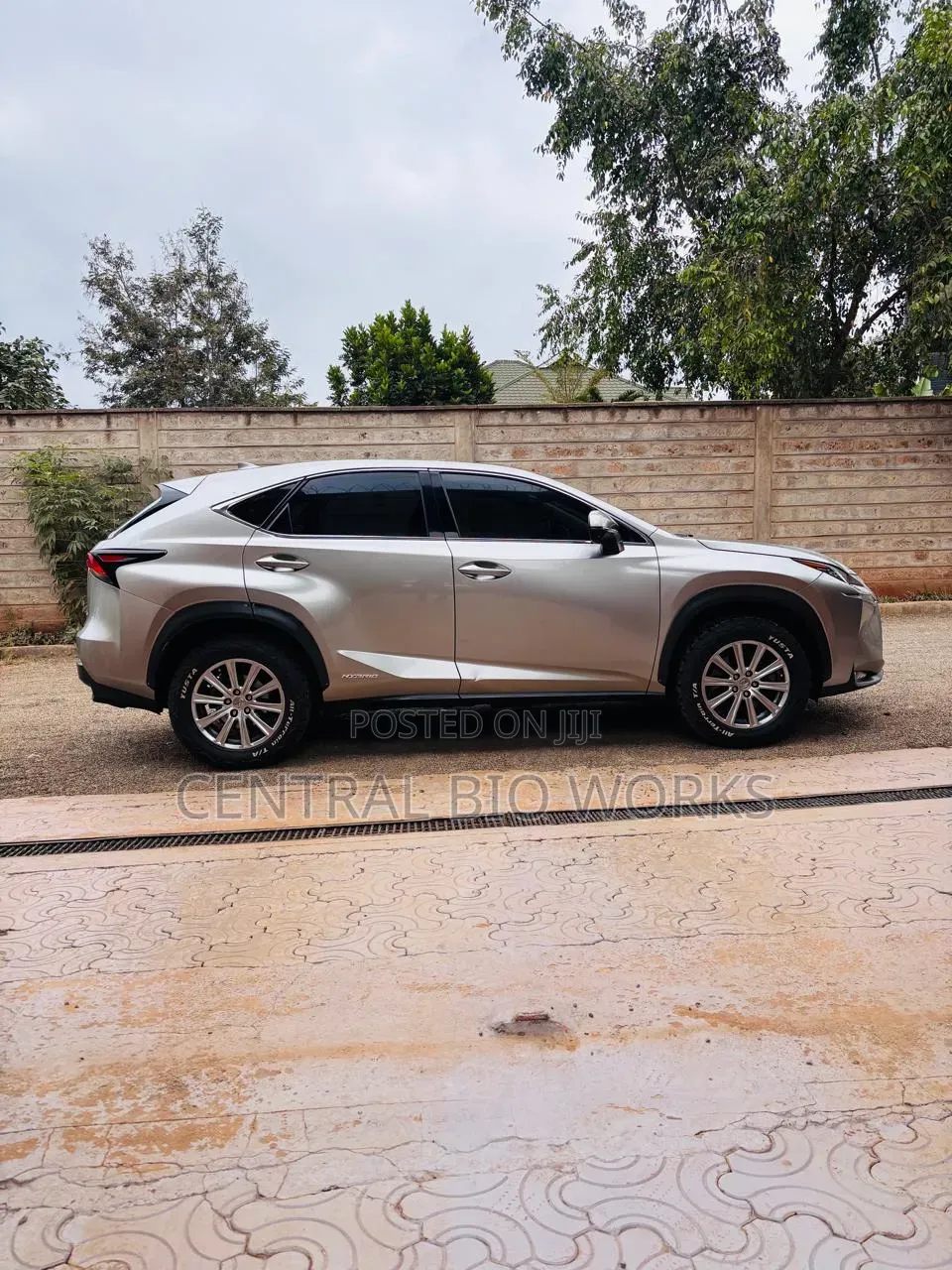 Lexus NX 2015 Silver