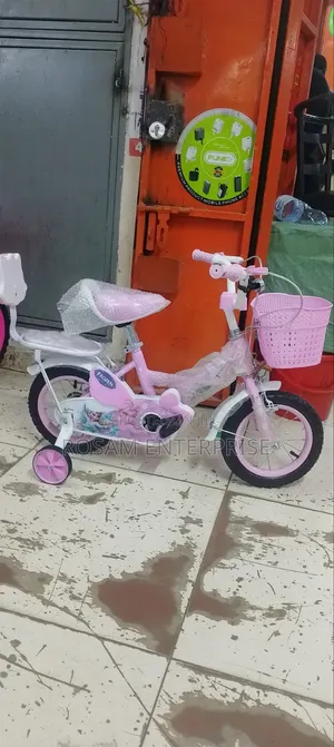 Kids Bicycle Frozen Size 12