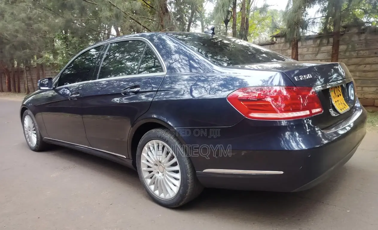 Mercedes-Benz E250 SV Premium 2014 Blue