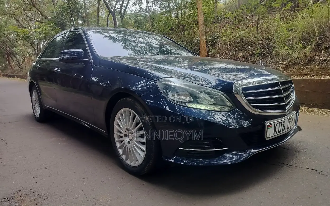 Mercedes-Benz E250 SV Premium 2014 Blue