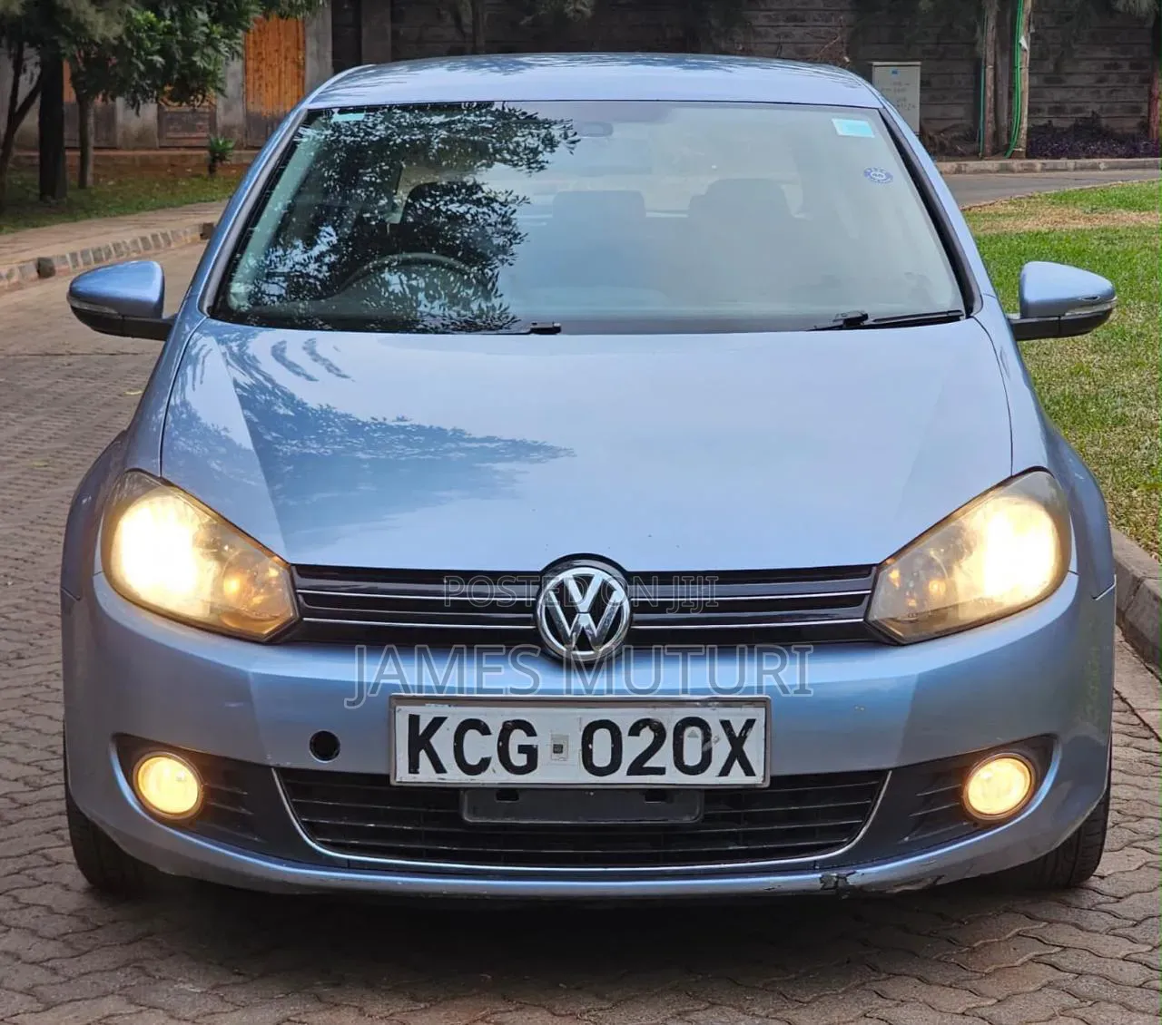 Volkswagen Golf 2010 Blue