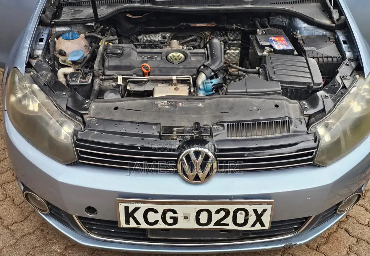 Volkswagen Golf 2010 Blue
