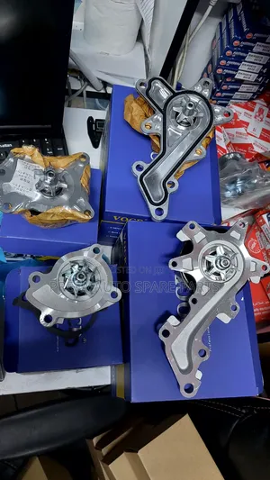 Water Pump Nissan Mr20