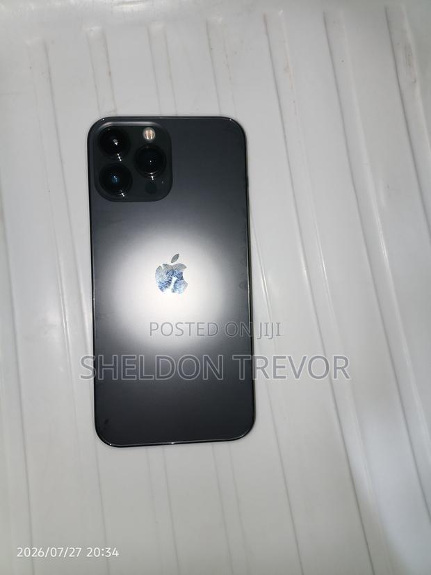 Apple iPhone 13 Pro Max 128 GB Gray - thumbnail 3