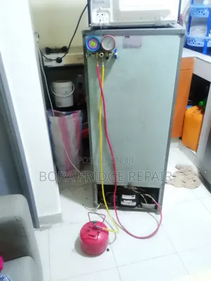 Fridge Repair Services