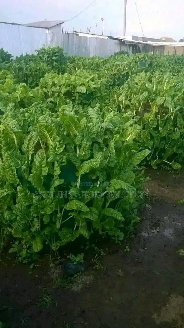 Vertical Gardening Bags 100holes