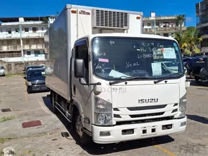 Isuzu Elf NPR Freezer Body