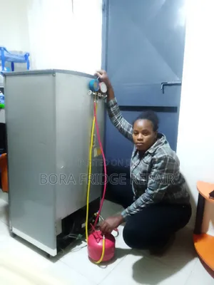 Fridge Gas Refill and Repair