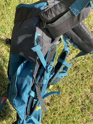 QUECHUA Large 60 L Backpack Forclaz (Blue)