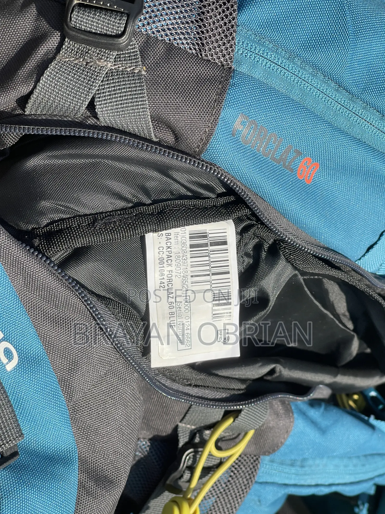 QUECHUA Large 60 L Backpack Forclaz (Blue)