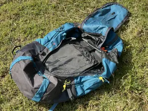 QUECHUA Large 60 L Backpack Forclaz (Blue)
