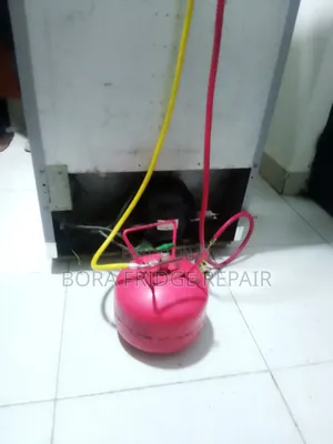 LG Fridge Repair