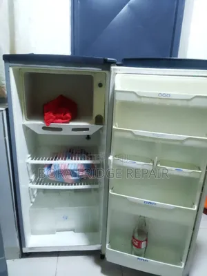 LG Fridge Repair