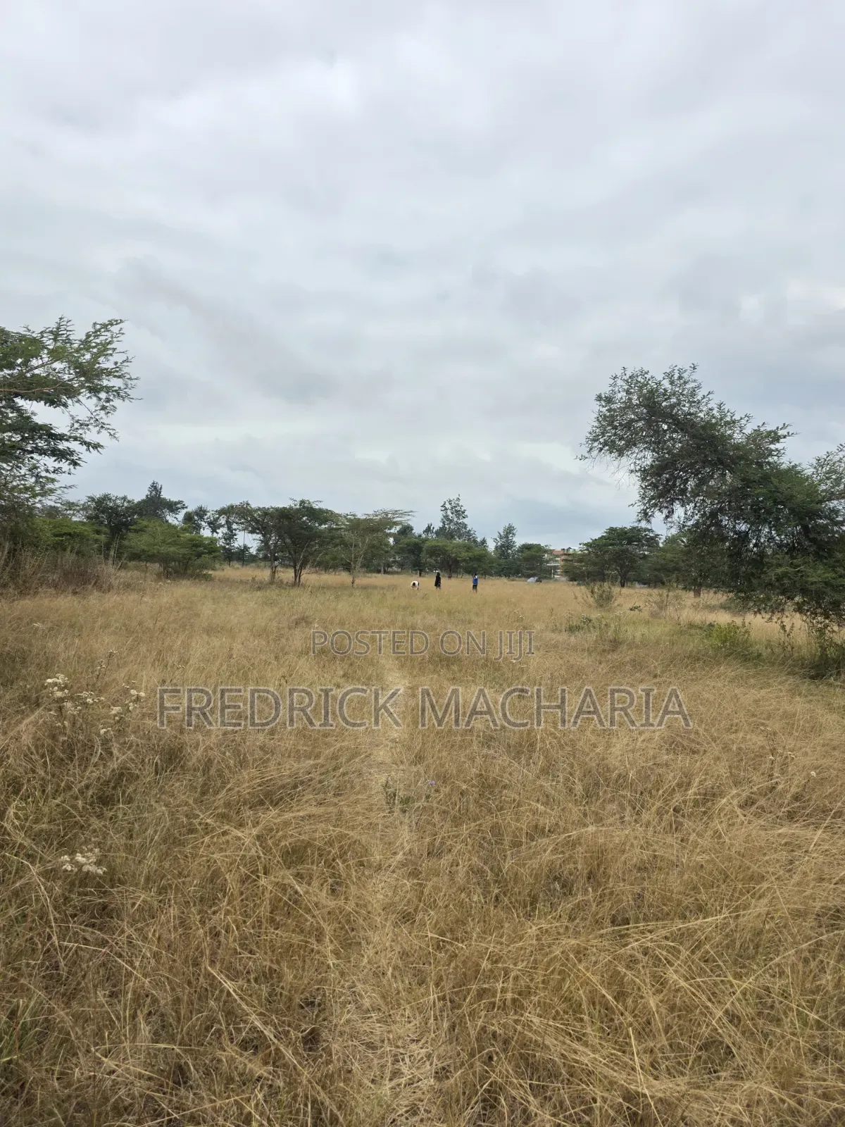 2 Acres for Sale at Kenol
