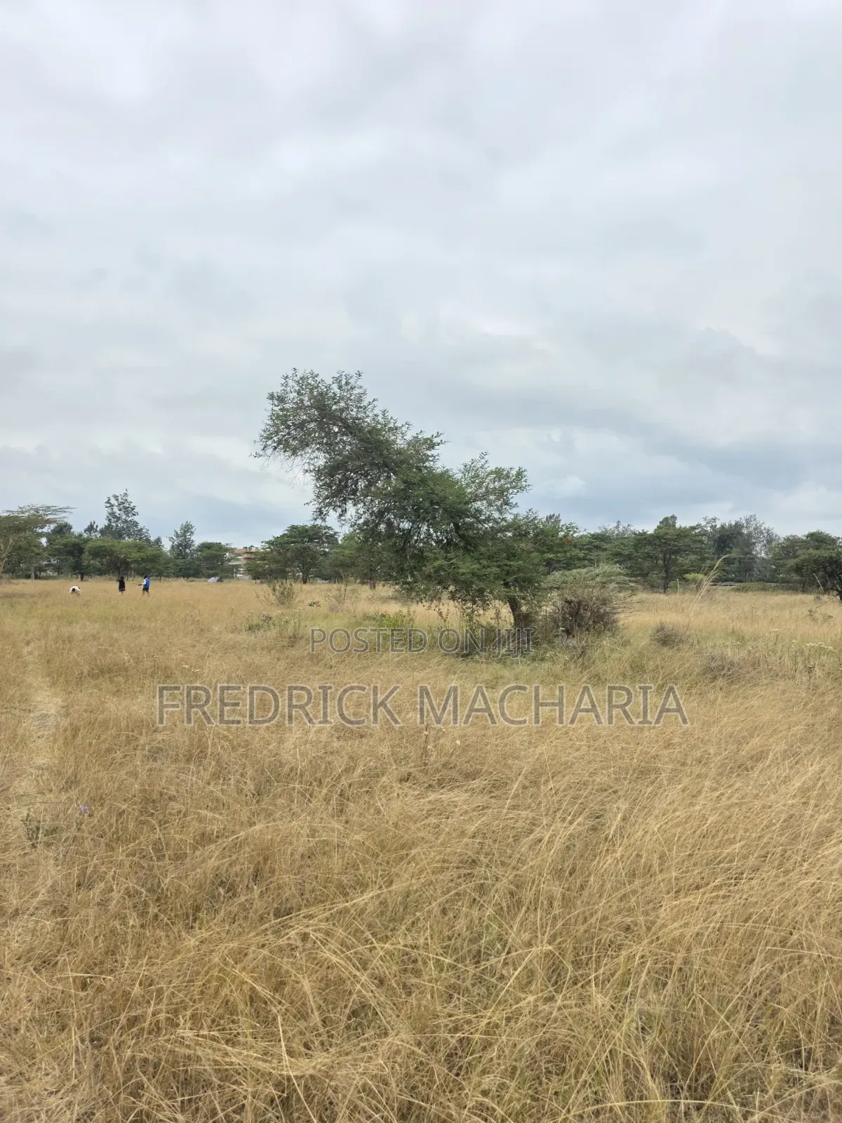 2 Acres for Sale at Kenol