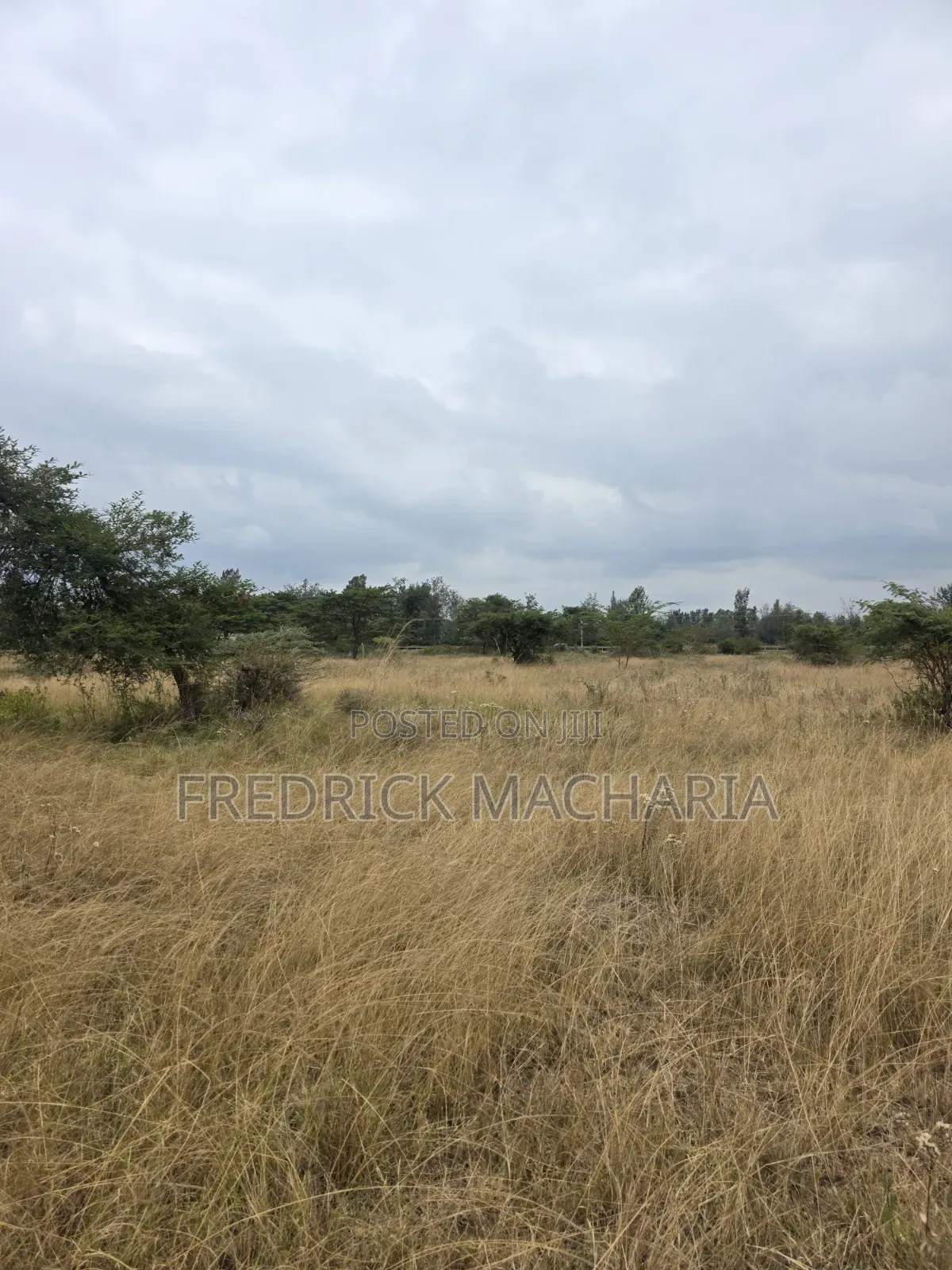 2 Acres for Sale at Kenol