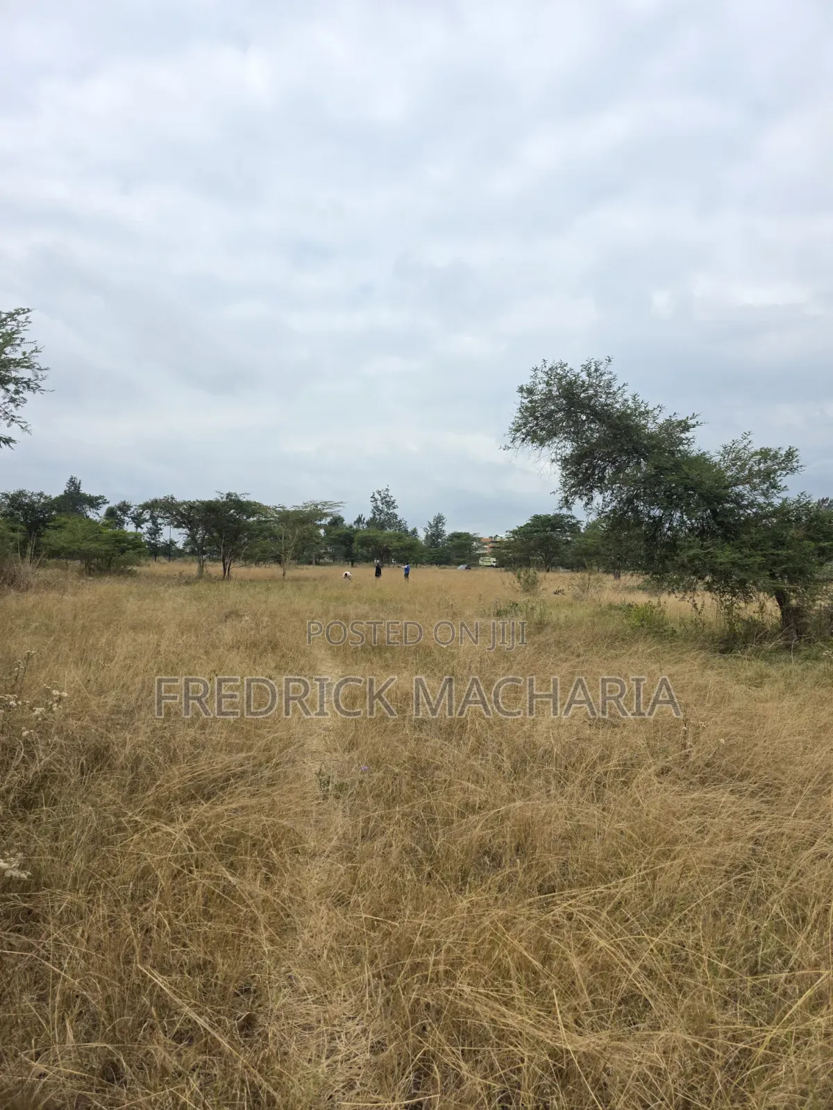 2 Acres for Sale at Kenol
