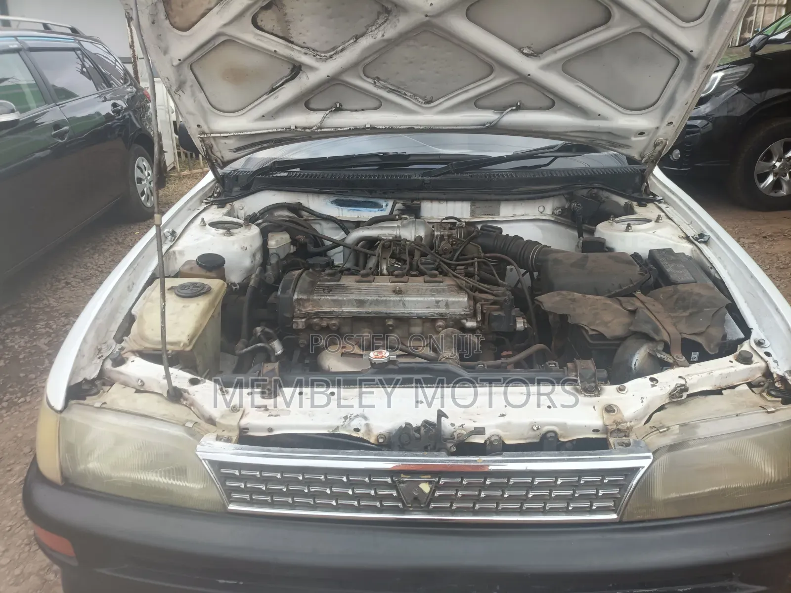 Toyota Corolla 2004 White