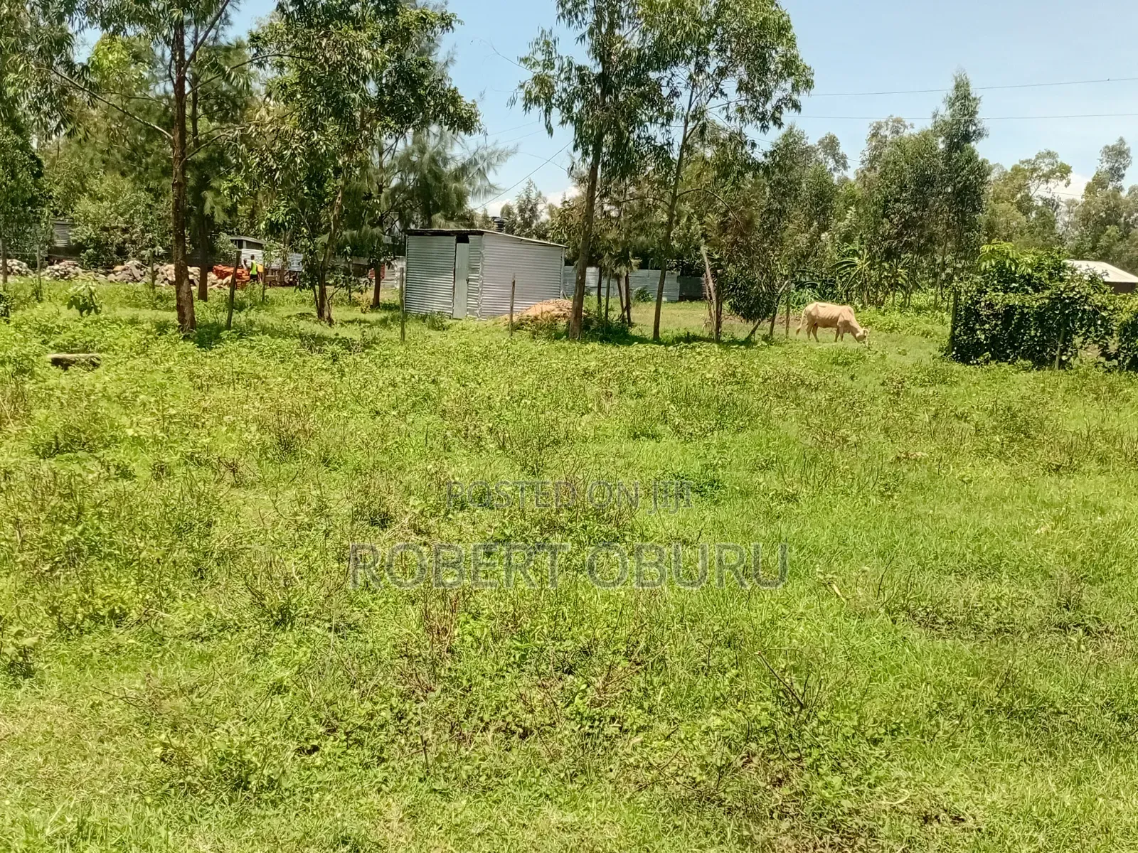 Land for Sale