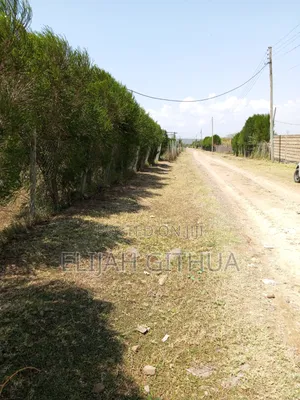 Prime Plots in Nakuru East Gate
