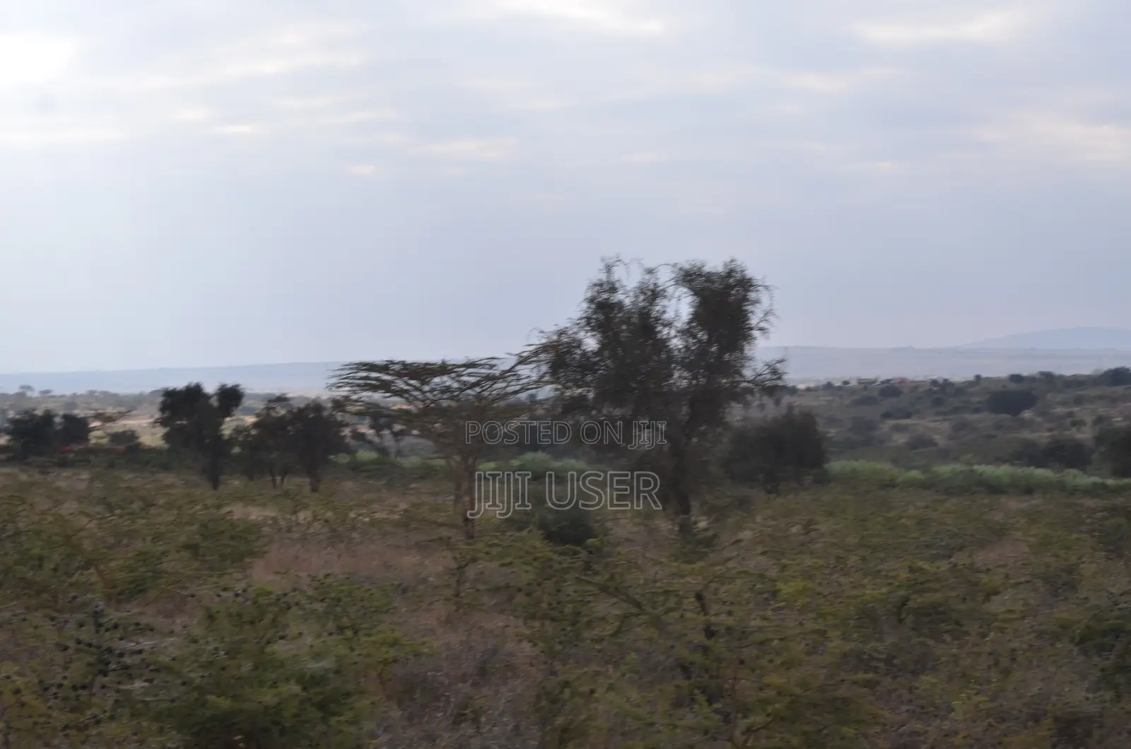 10 Acre Piece of Land for Sale!