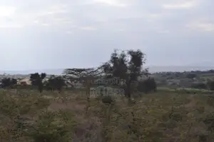 10 Acre Piece of Land for Sale!