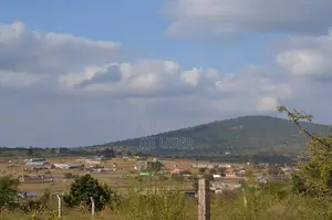 10 Acre Piece of Land for Sale!