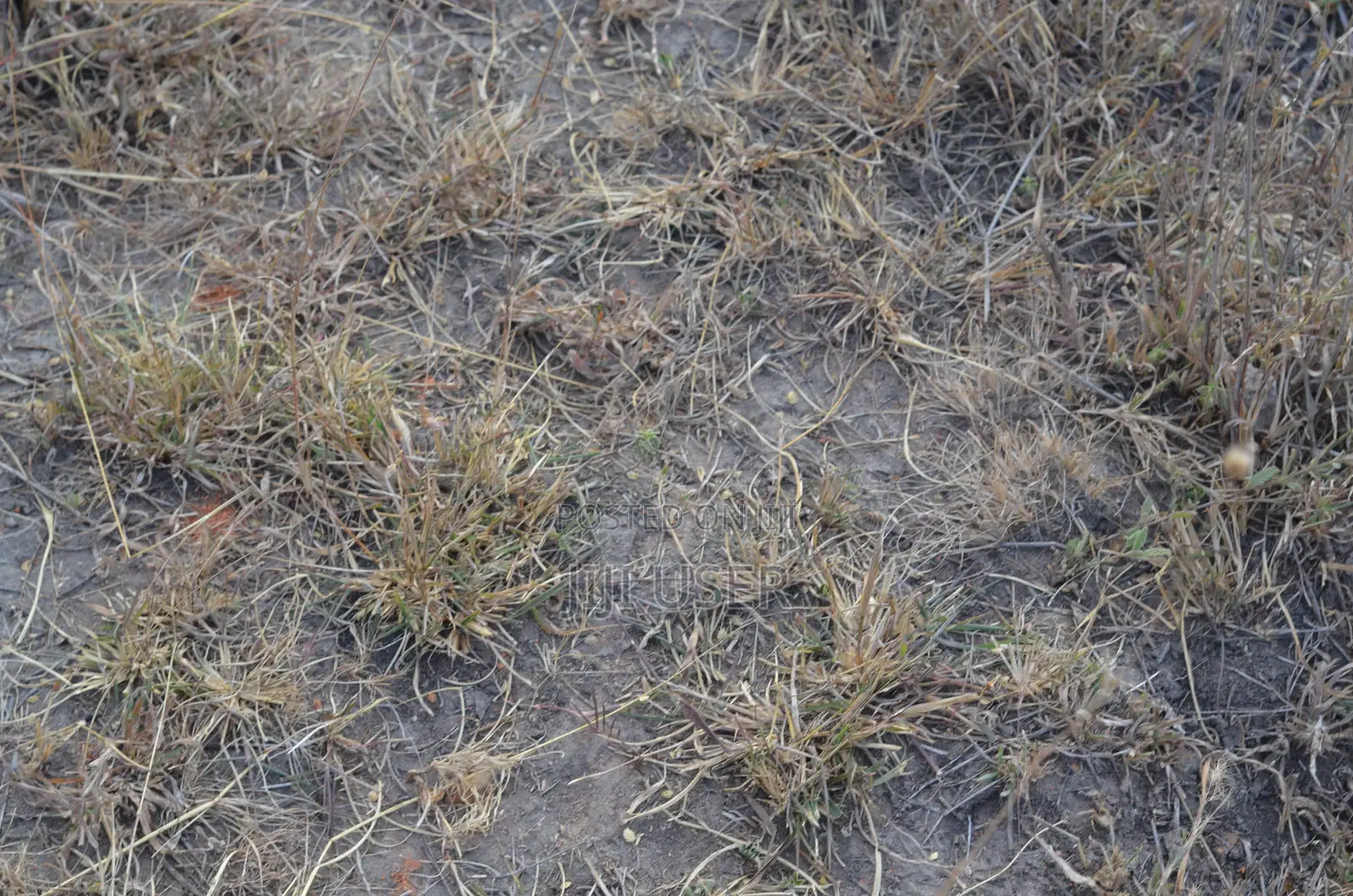 10 Acre Piece of Land for Sale!