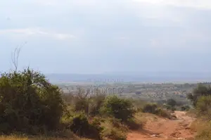 10 Acre Piece of Land for Sale!