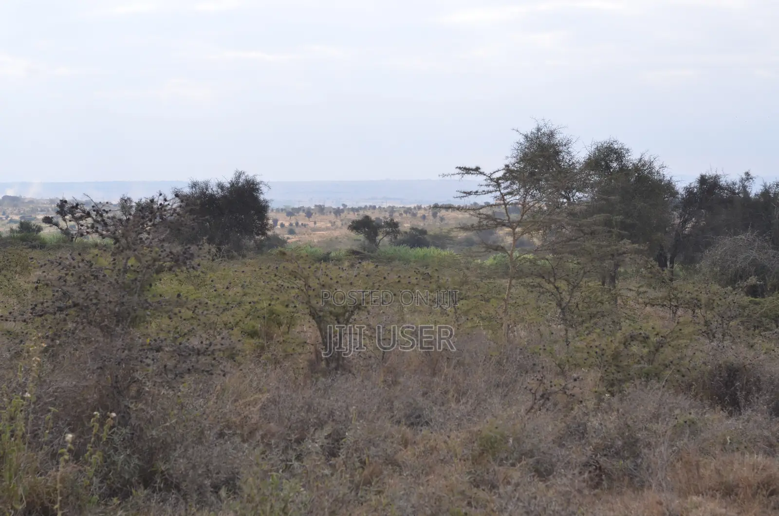 10 Acre Piece of Land for Sale!