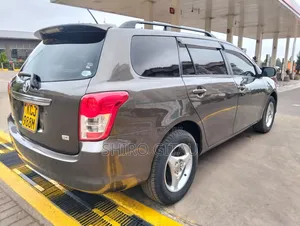 Toyota Corolla Fielder 2010 Gray