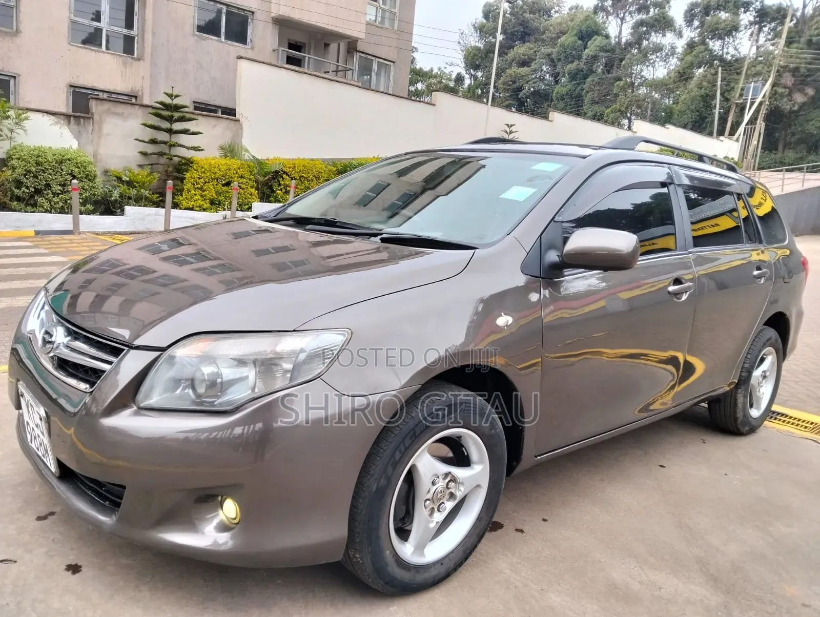Toyota Corolla Fielder 2010 Gray