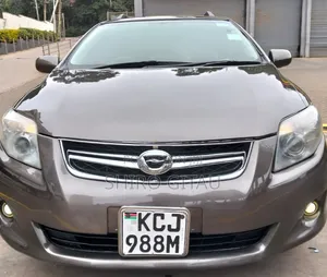 Toyota Corolla Fielder 2010 Gray