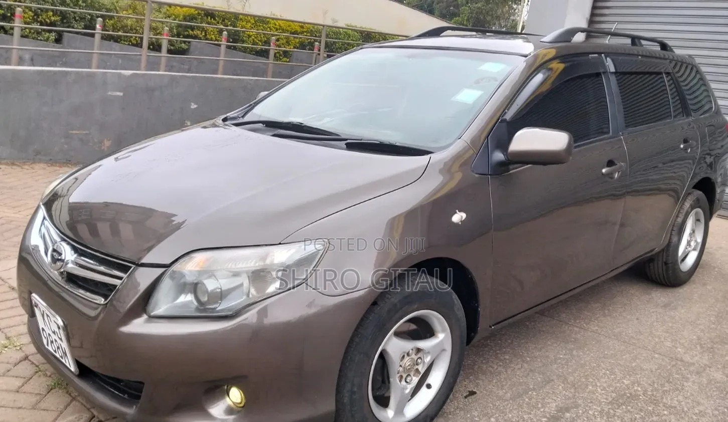 Toyota Corolla Fielder 2010 Gray